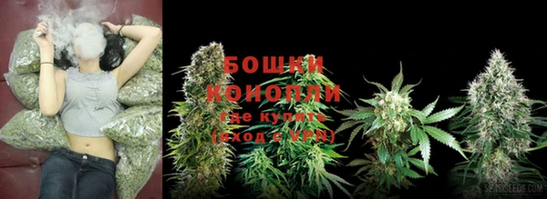 хмурый Балабаново