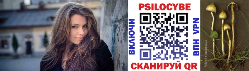 Псилоцибиновые грибы Psilocybe  Ревда 